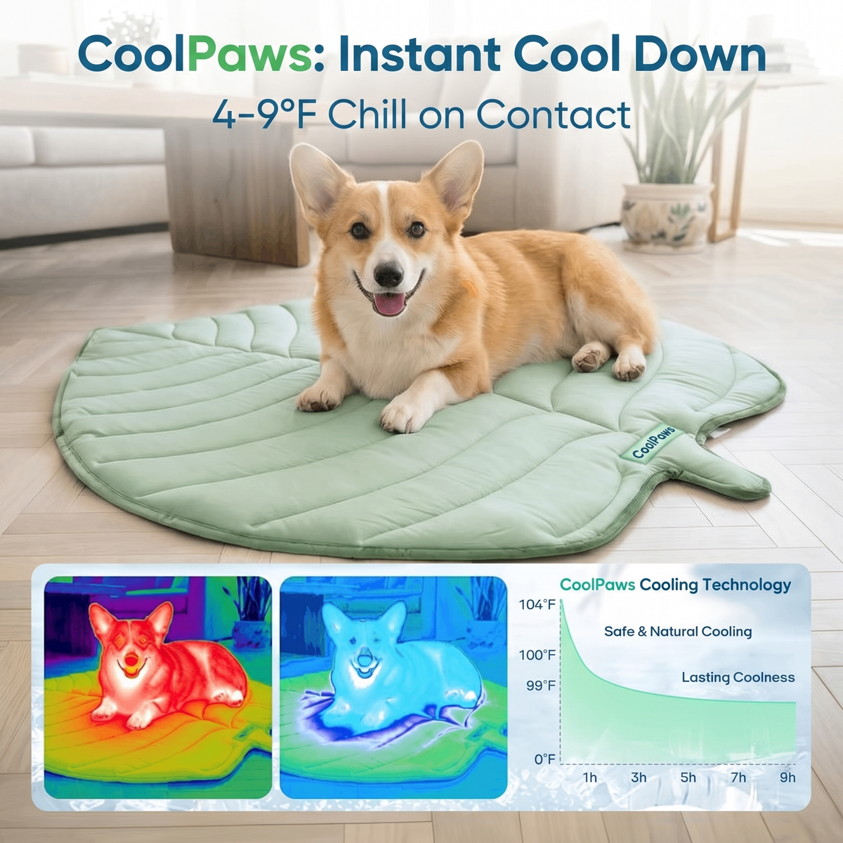 CoolPaws