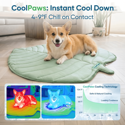 CoolPaws