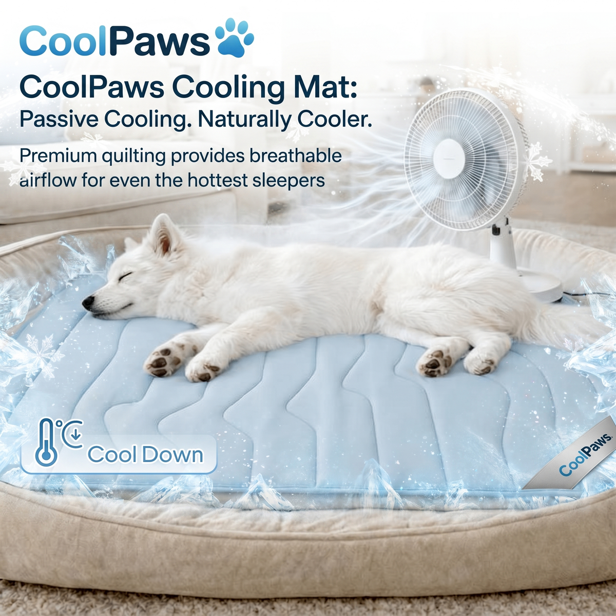 CoolPaws