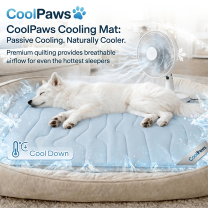 CoolPaws